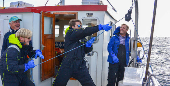 Fisketur Marstrand. Aktivitet